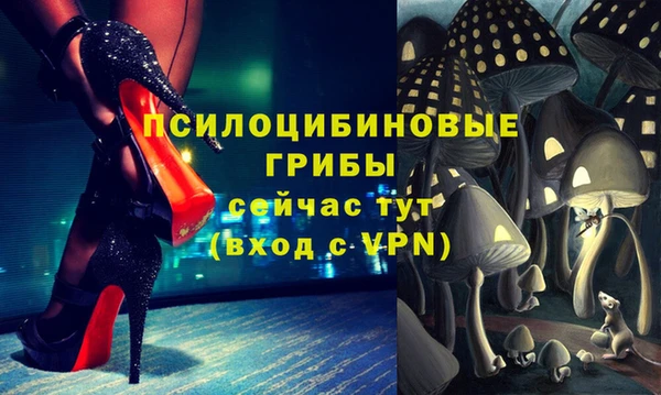 стаф Абдулино