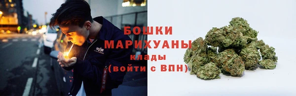 ПСИЛОЦИБИНОВЫЕ ГРИБЫ Абаза