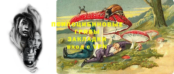 ПСИЛОЦИБИНОВЫЕ ГРИБЫ Абаза