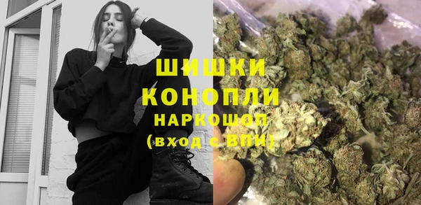 ПСИЛОЦИБИНОВЫЕ ГРИБЫ Абаза
