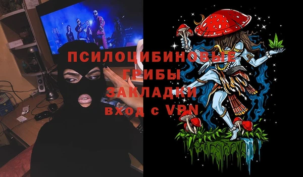 ПСИЛОЦИБИНОВЫЕ ГРИБЫ Абаза