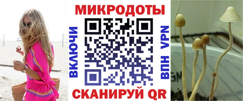 хочу   Сочи  Псилоцибиновые грибы прущие грибы 