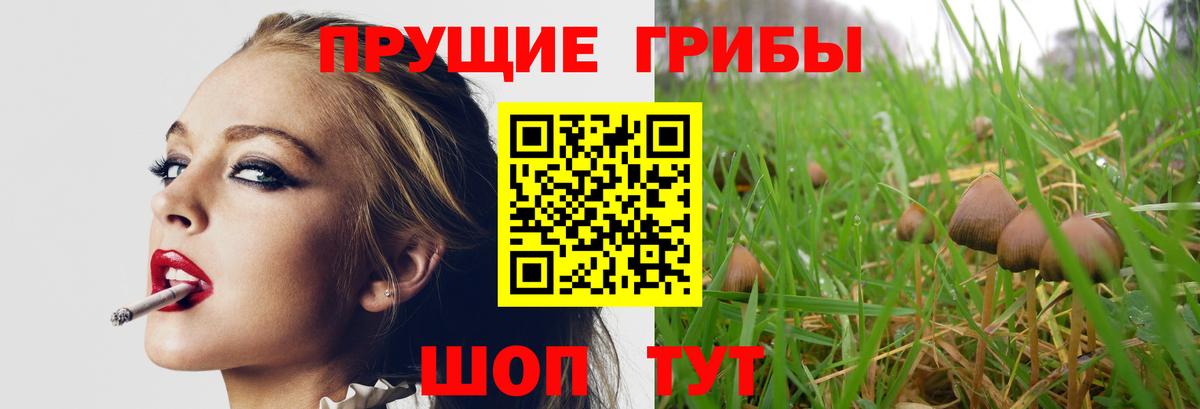 Псилоцибиновые грибы Psilocybine cubensis  Псилоцибиновые грибы GOLDEN TEACHER  Сочи  Вход с VPN 
